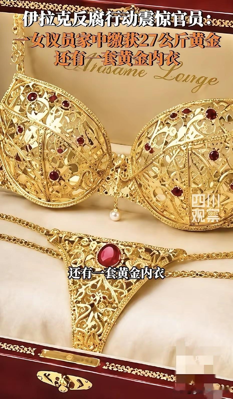 伊拉克女议员家中搜出的一套纯黄金加钻石装饰的女内裤加文胸，虽说这价值不菲，但它真
