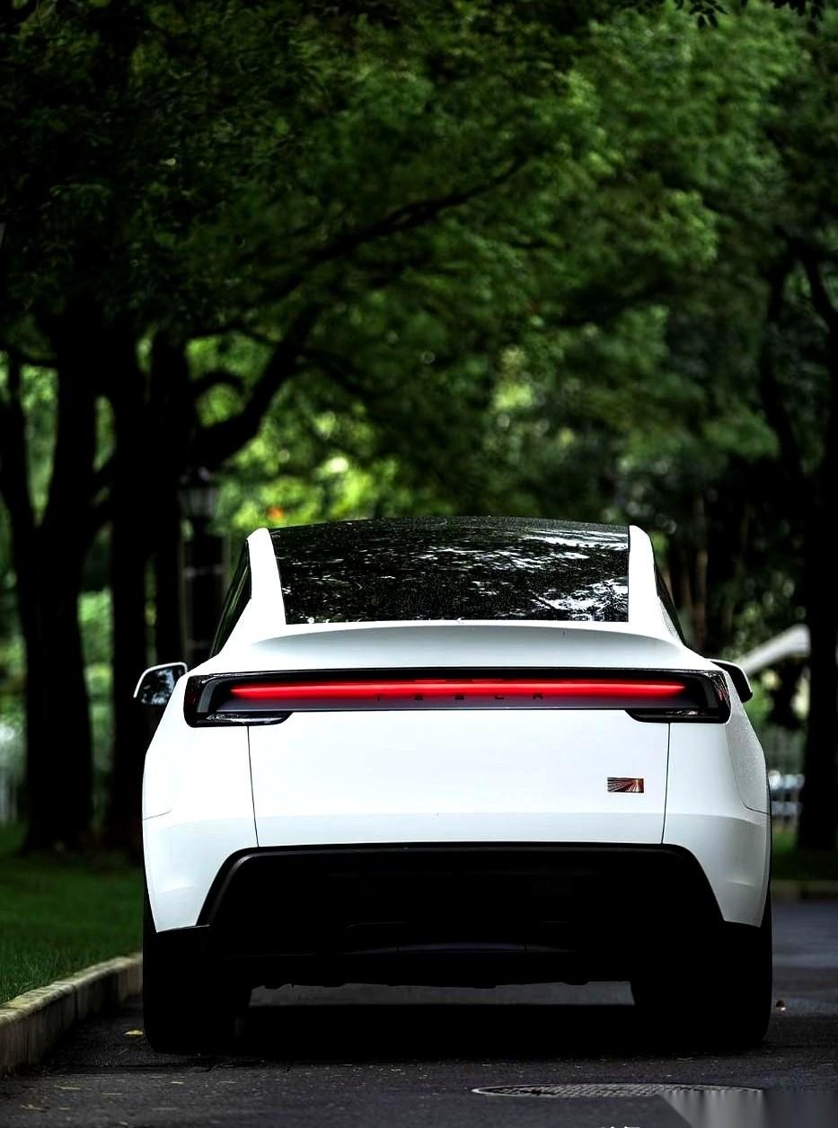 美国一季度的豪华车榜单出来了，有点看不懂。
特斯拉一脚油门，卖了11万辆，直接把