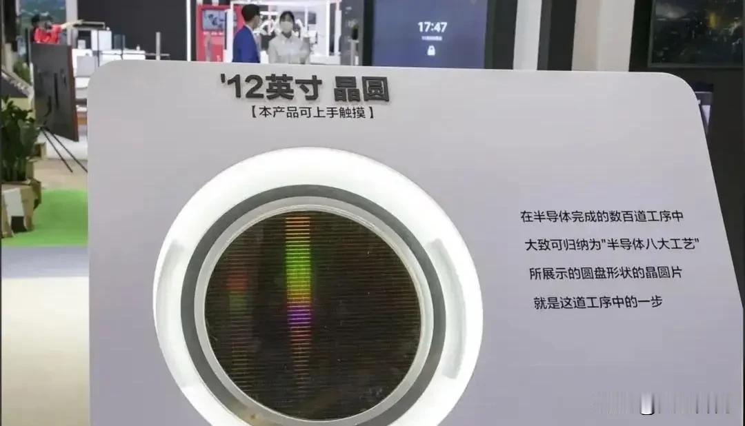 就在荷兰强行夺走安世半导体总部刚满11个月之际，中国市场交出了一份让西方彻底傻眼