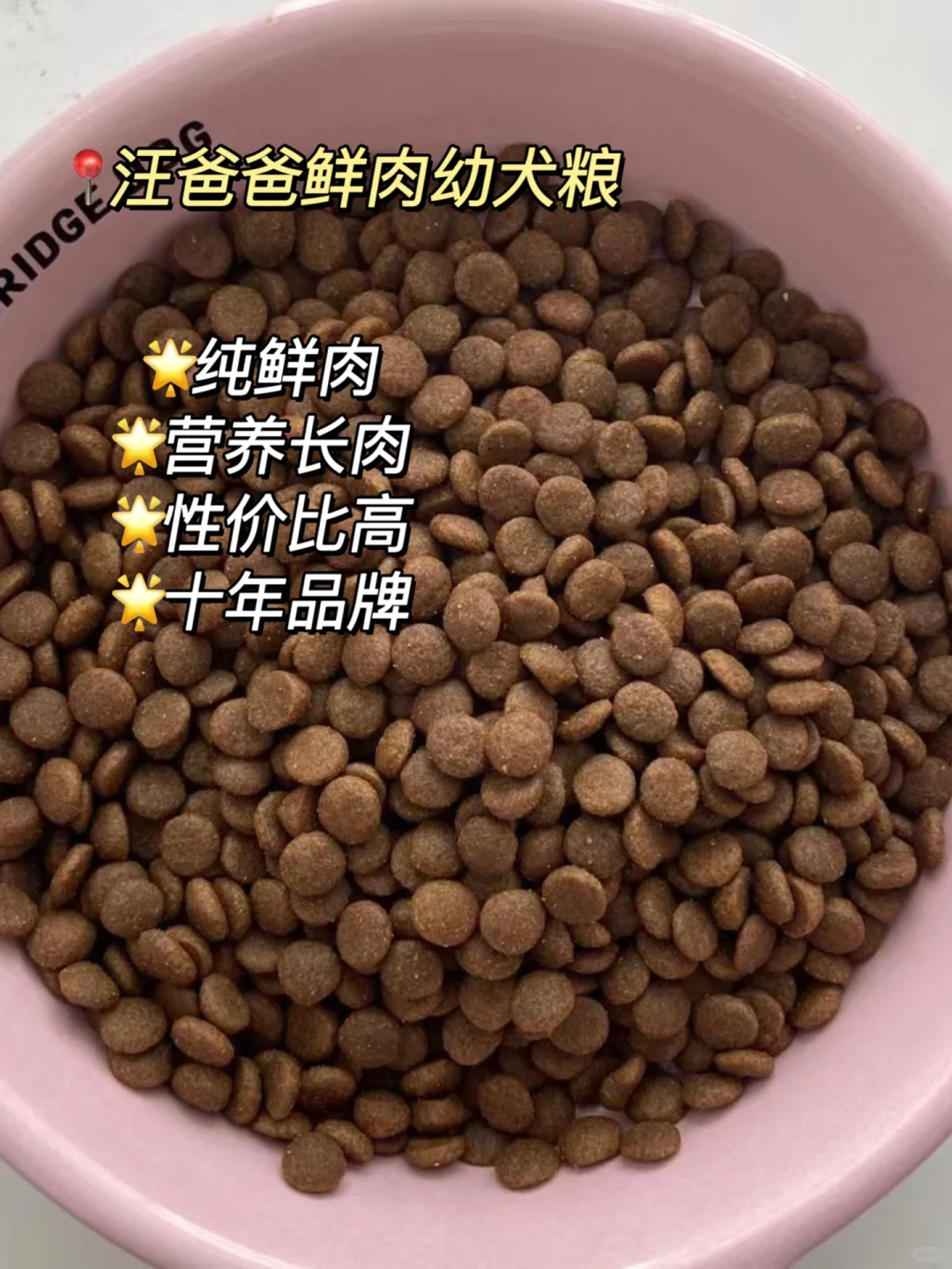 幼犬狗粮选购指南!新手养狗买前必看!