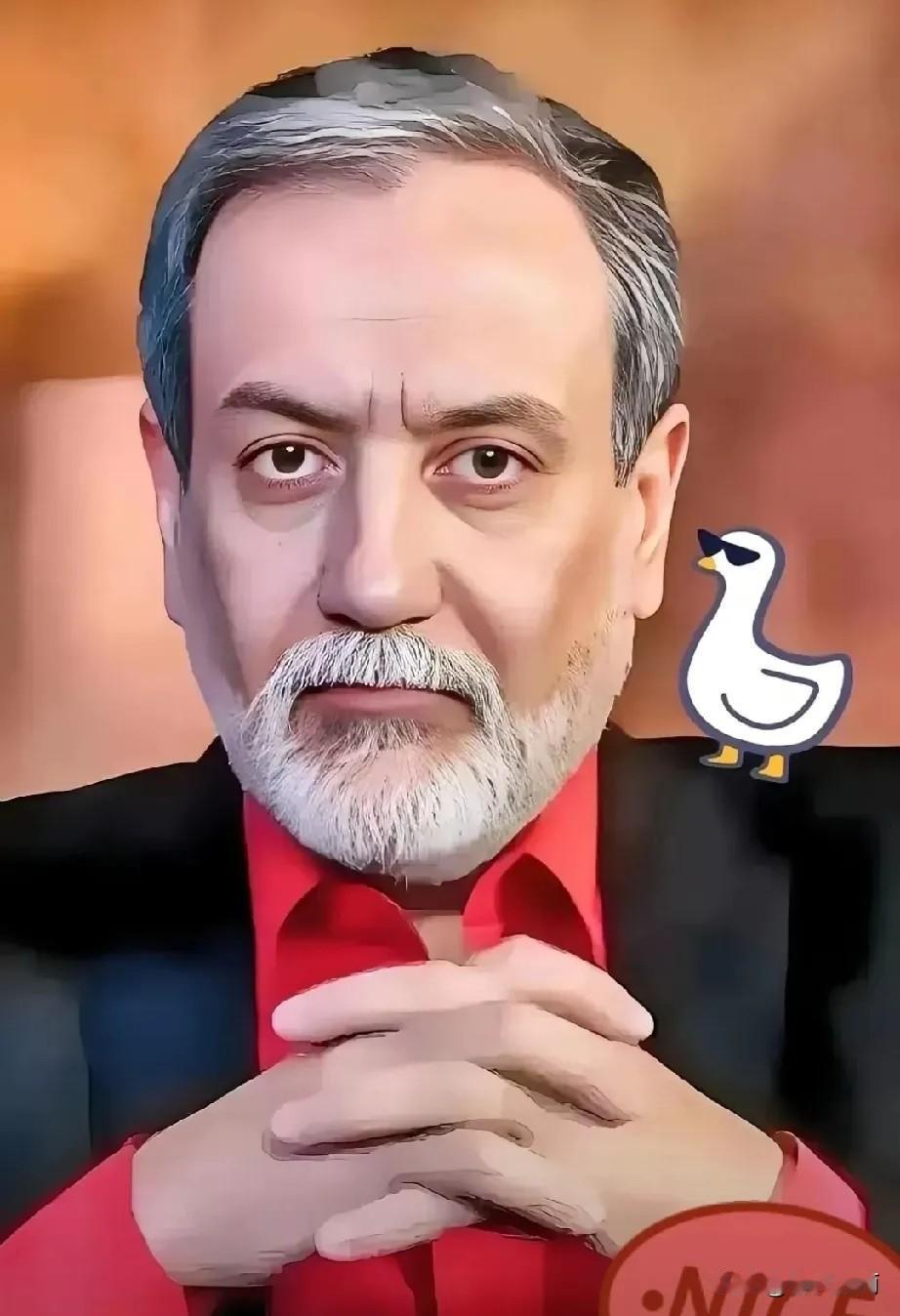 伊朗传来新消息
2026年4月25日，伊朗议会要员宣布一个大消息，伊朗外交部长阿