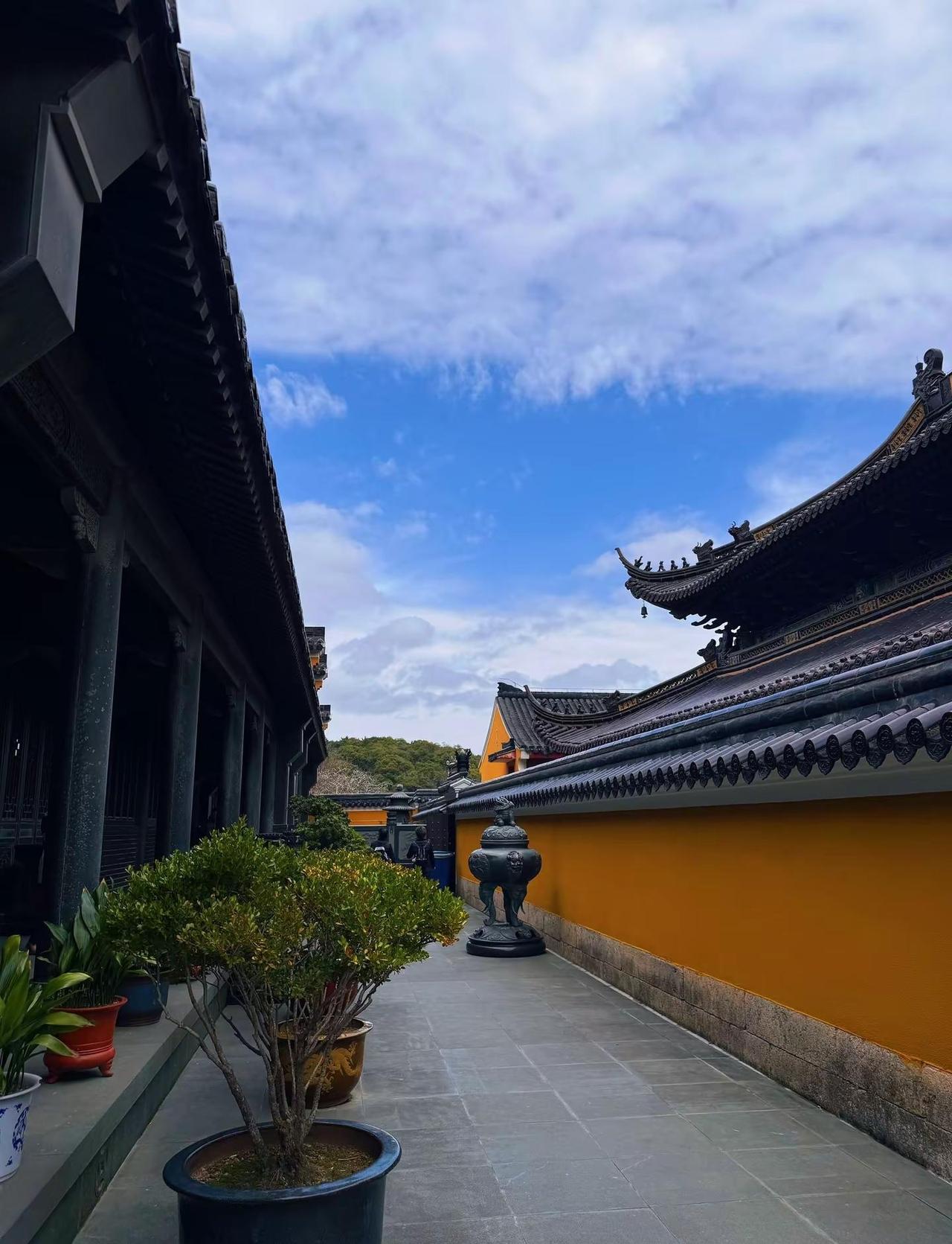 诚心而来 静心而归 来了就好  好了再来 越来越好 🫶🏻