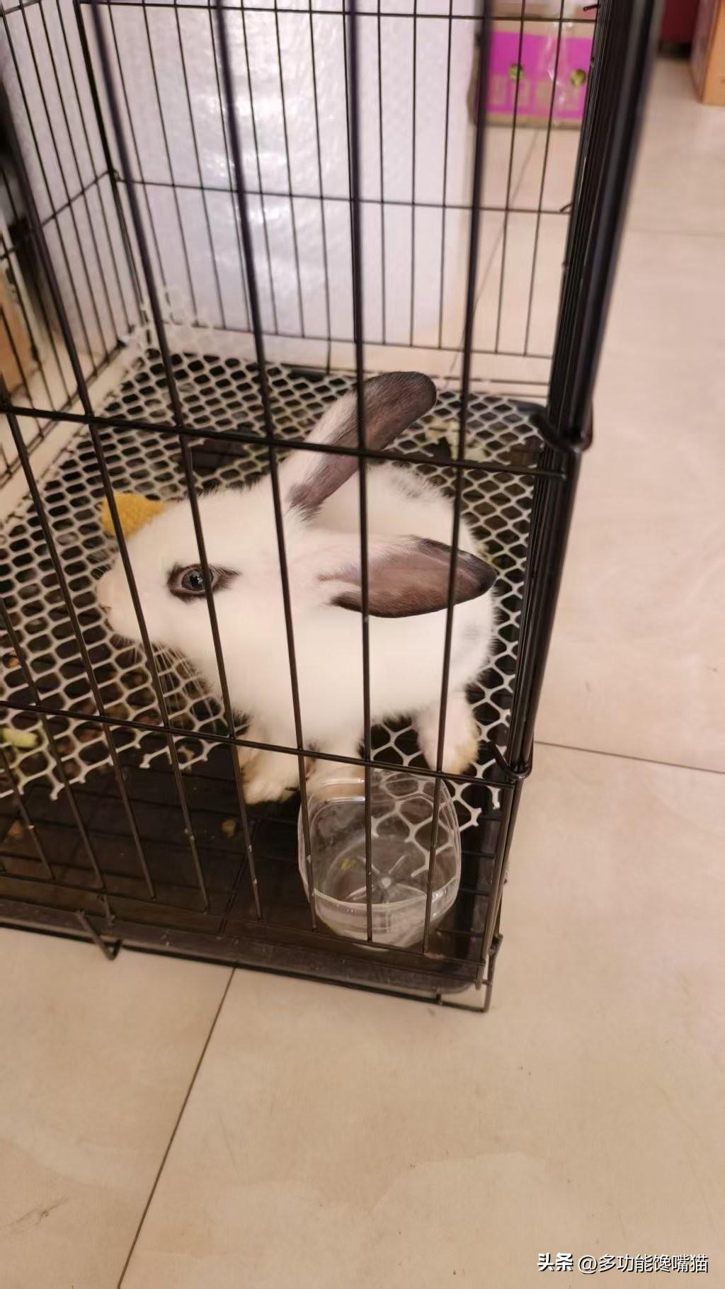 秋日生活打卡季 地标山西偏关小县城，猫姐去取快递的时候，人挺多，排队的时候突然发
