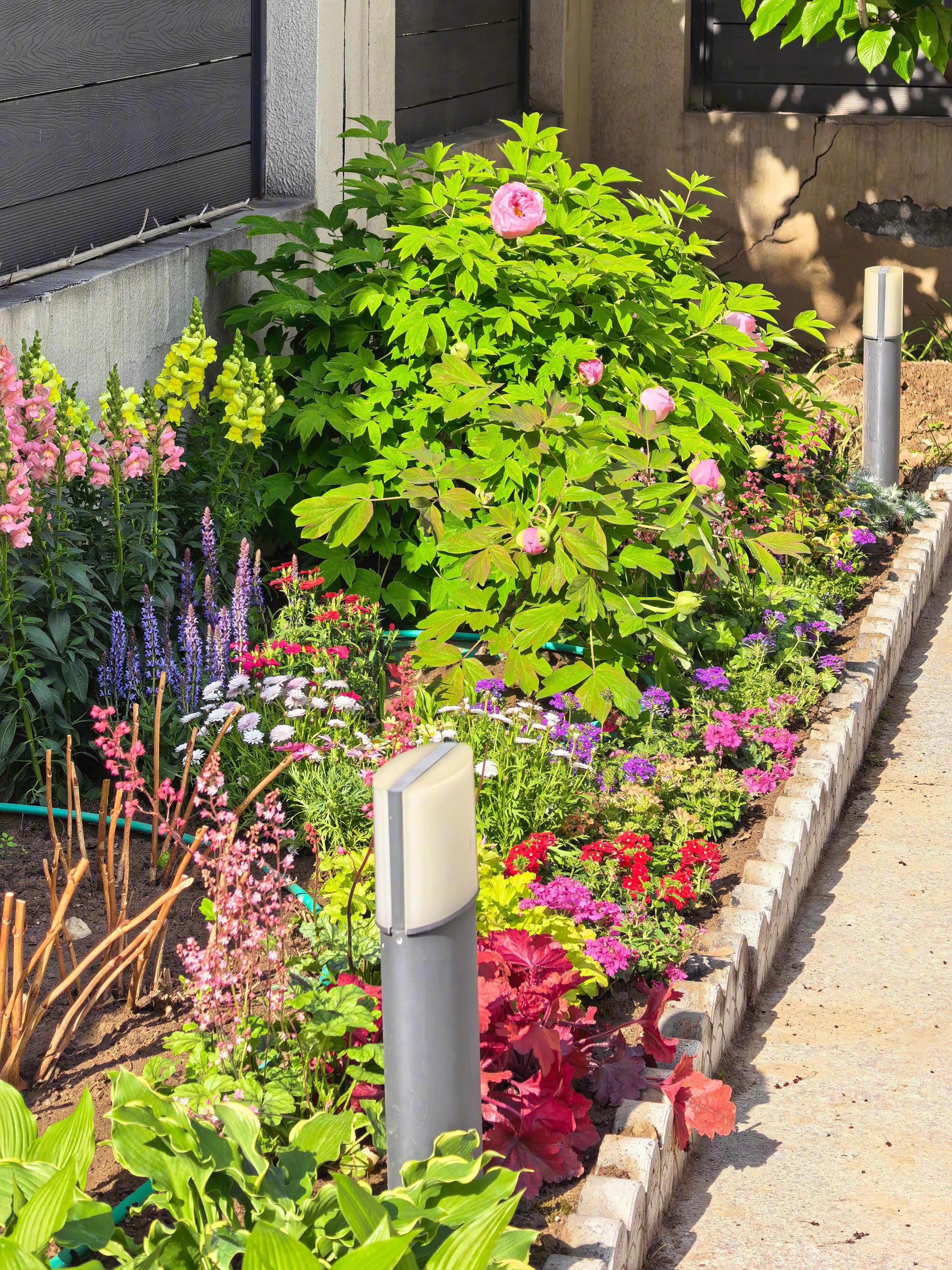 有个院子就是好，每天出门前路过媳妇和丈母娘养的花，心情就很好。绣球很好养，能过冬
