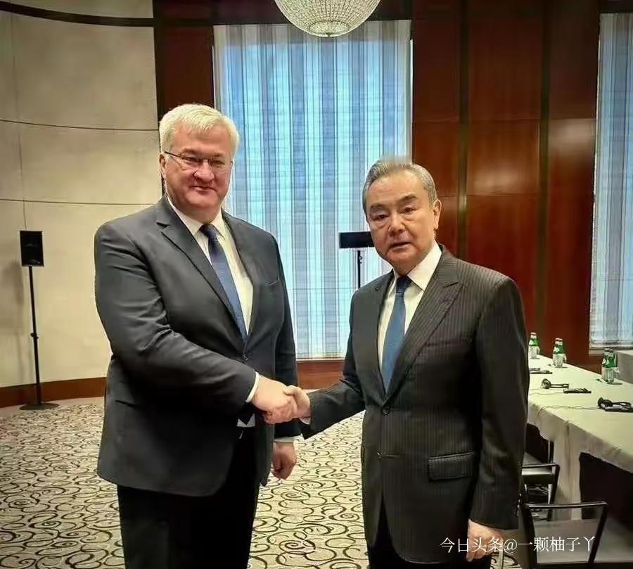 慕尼黑安全会议上，中国外长与乌克兰外长举行会晤。乌方随后公开确认，中方将向乌克兰