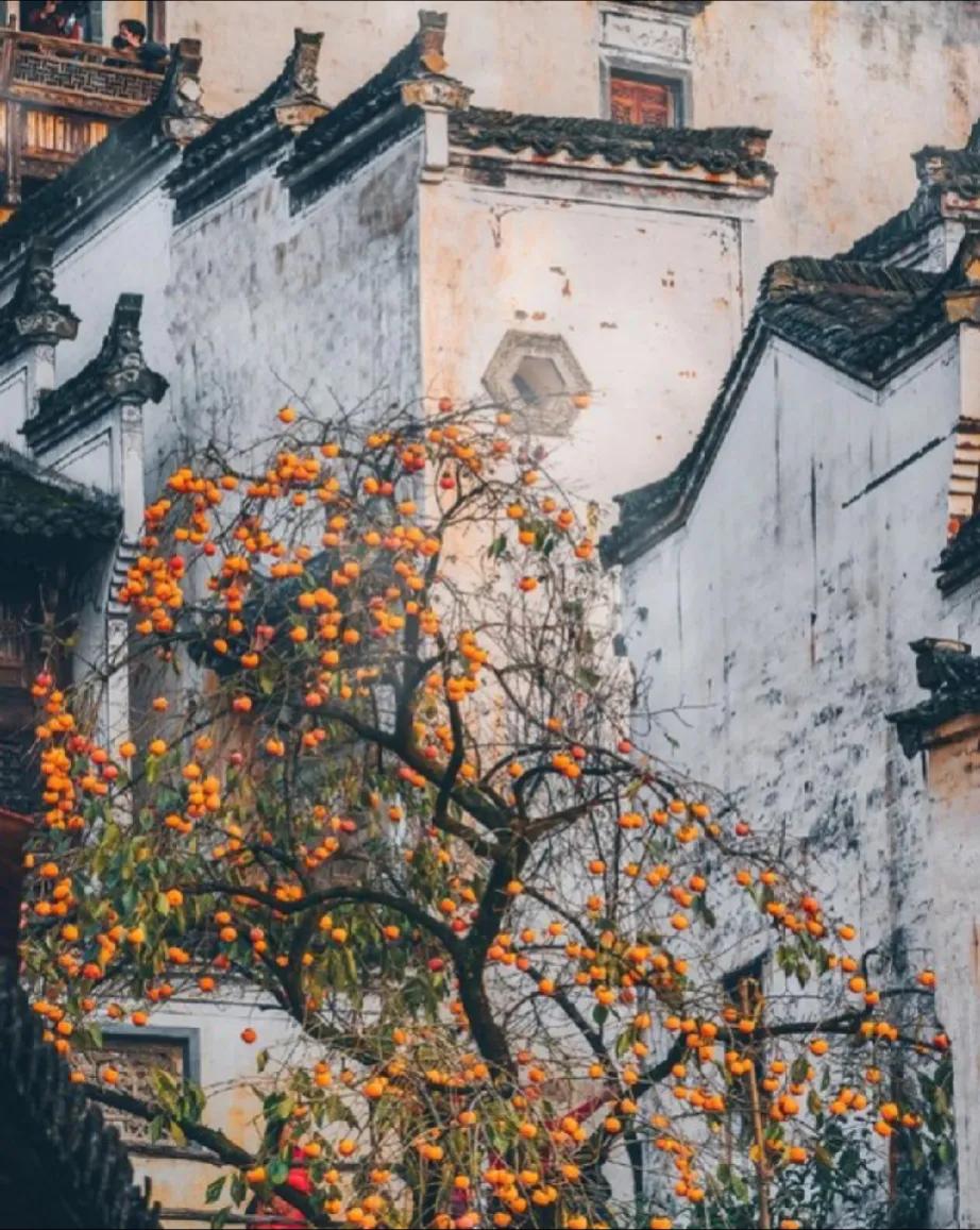 炫耀一件事，是需要有东西托底的。
这个东西是金钱或者是资本实力。

如果没有东西
