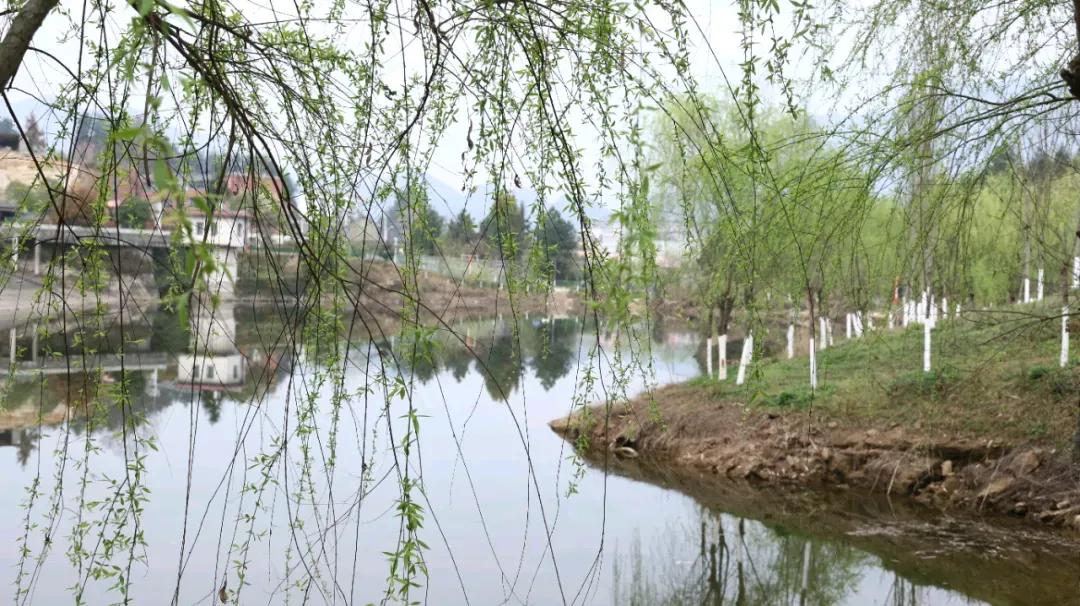 怎么才算不是多走路

       今天上午，我要去北京农村商业银行和交通银行两