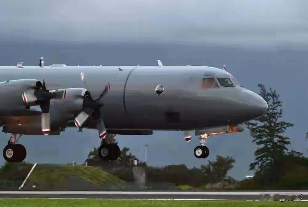 千里迢迢来碰瓷！新西兰军机在黄东海滋事，纯属自不量力
 
新西兰军机远赴中国黄海