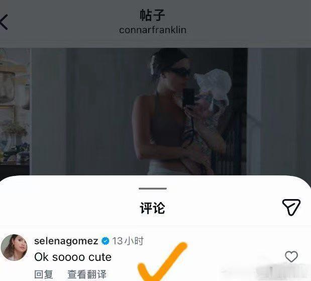 赛琳娜在霉霉婚礼上冲浪赛琳娜在霉霉婚礼上冲浪！ 