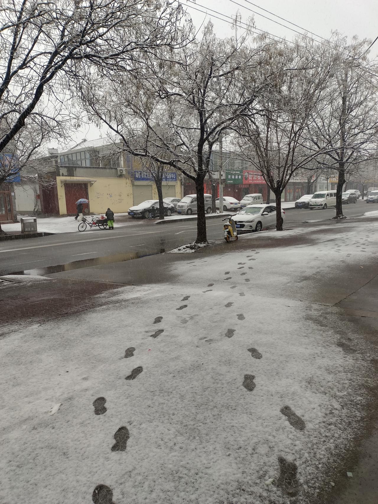雪街里的橘色轨迹
 
雪片裹着白天的风，落在她的反光背心上，很快融成湿痕。扫帚压