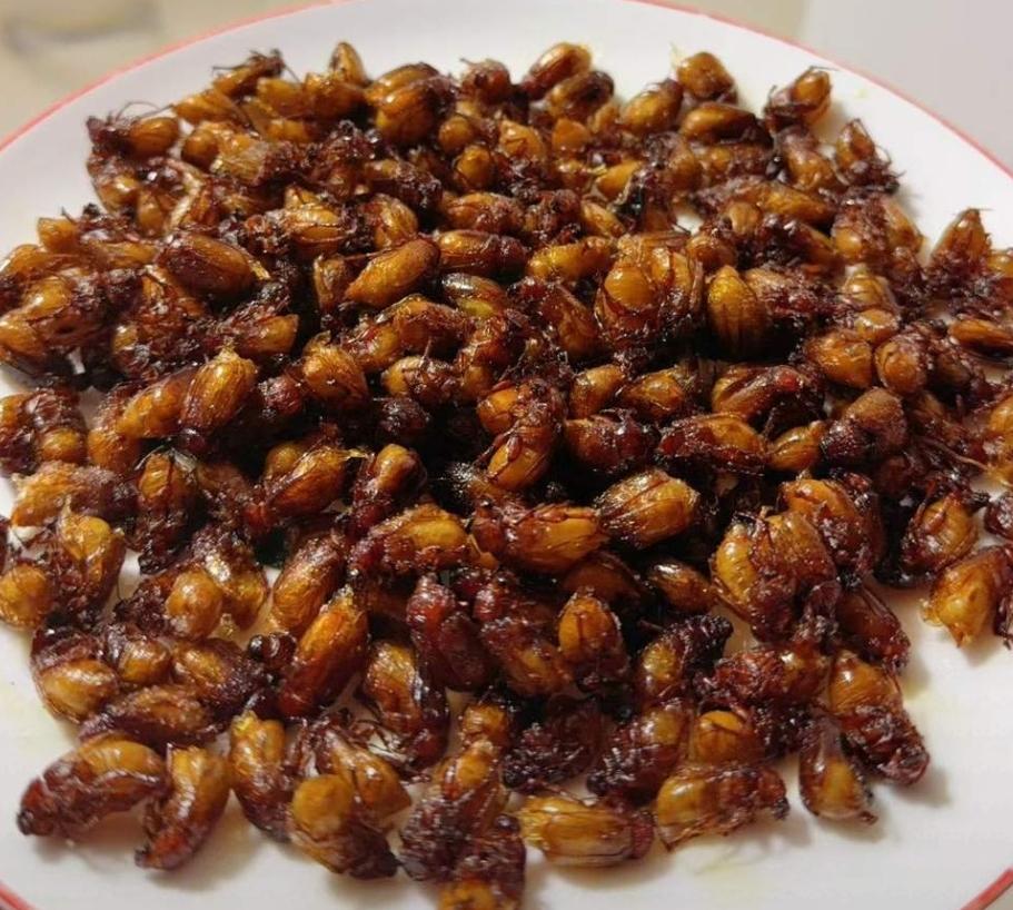 小时候吃过一种昆虫，叫瞎眼撞子，晚上到灌木丛中捉的，回家用油煎下，那时油金贵，不