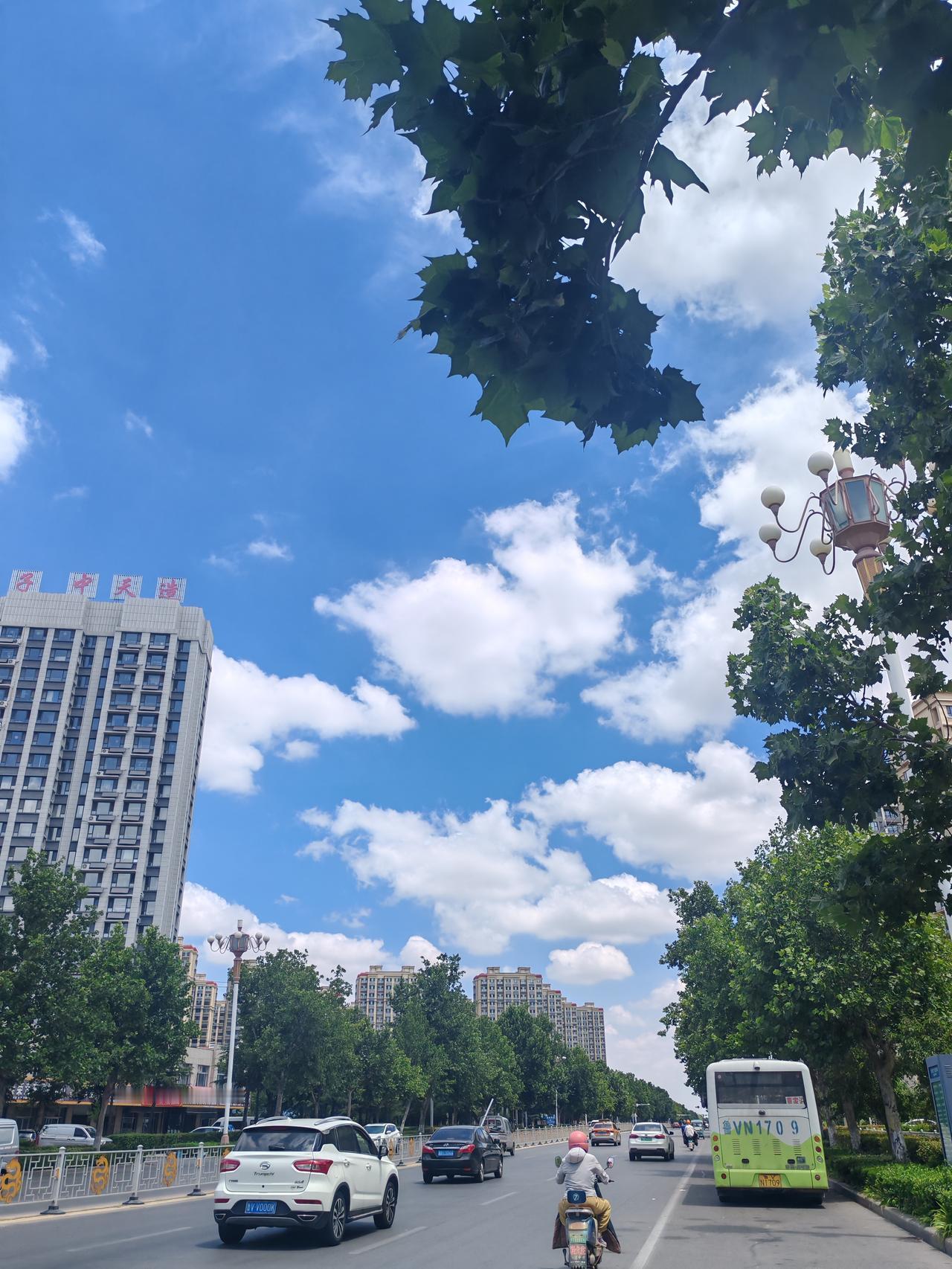 河水清得能照见云，芦苇的白穗在风里轻轻摇着，连路边的野菊花都开了，一小簇一小簇的