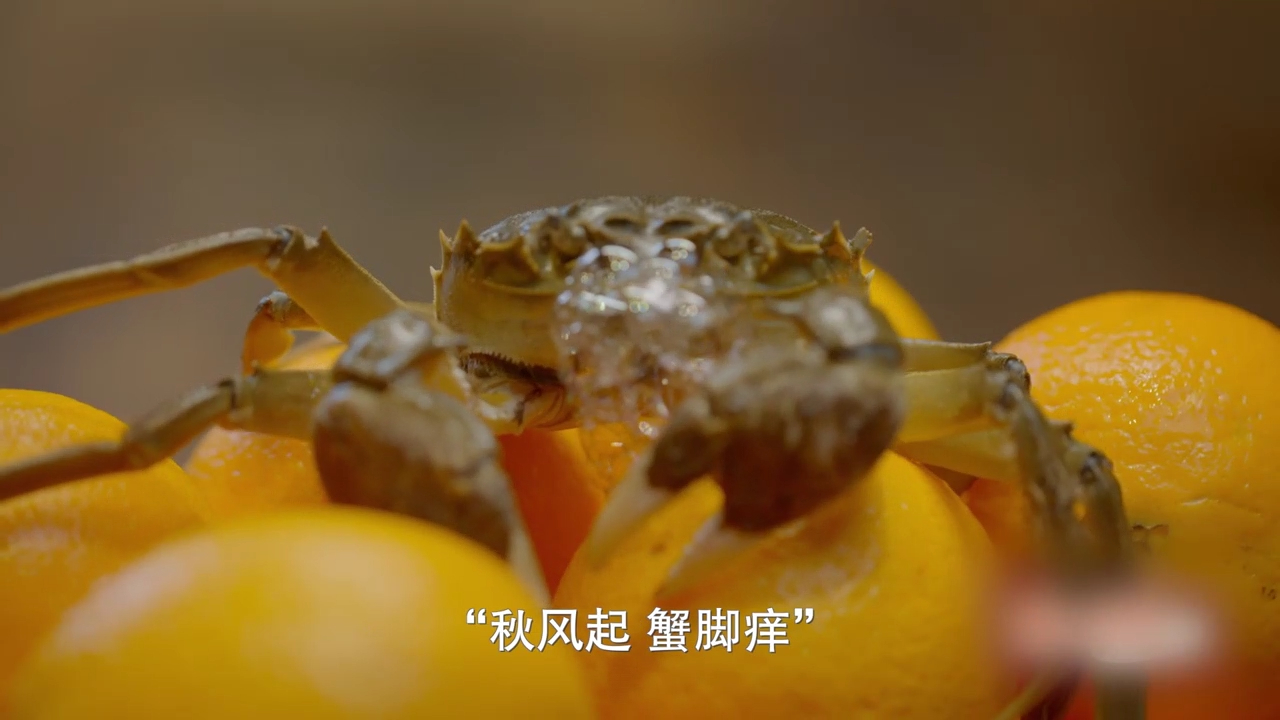 #古人吃螃蟹的搭配还是太超前了# 最近被一档美食节目中的南宋名菜蟹酿橙深深震撼了
