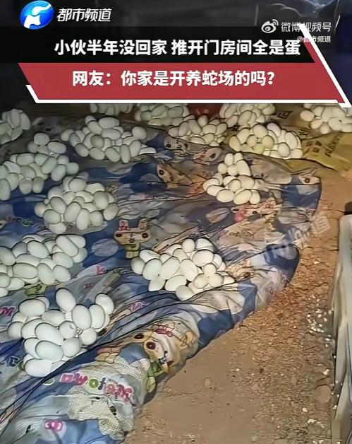 吓哭了!6月12日，江西一小伙整整半年没有回过家，最近，他返回自己久无人居的住处