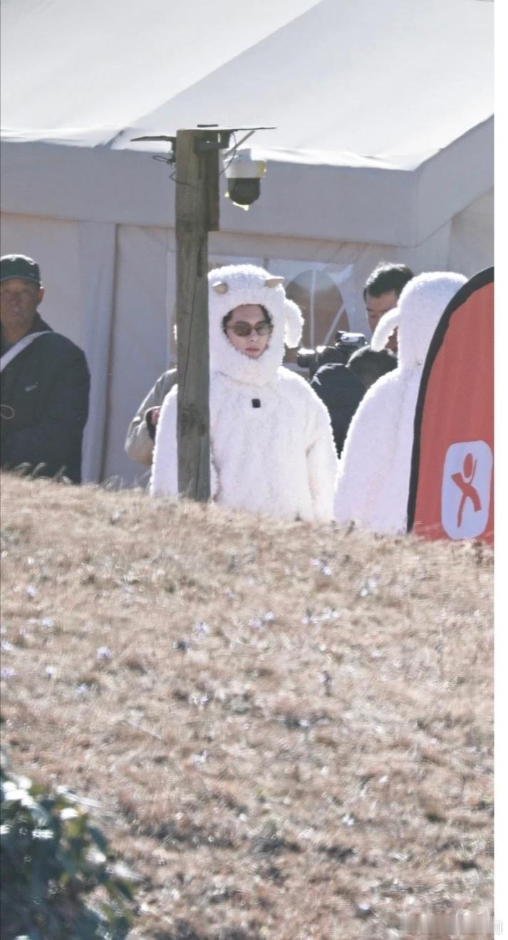 王鹤棣昨天cos马今天cos羊 跟动物过不去了王鹤棣一天当马一天当羊