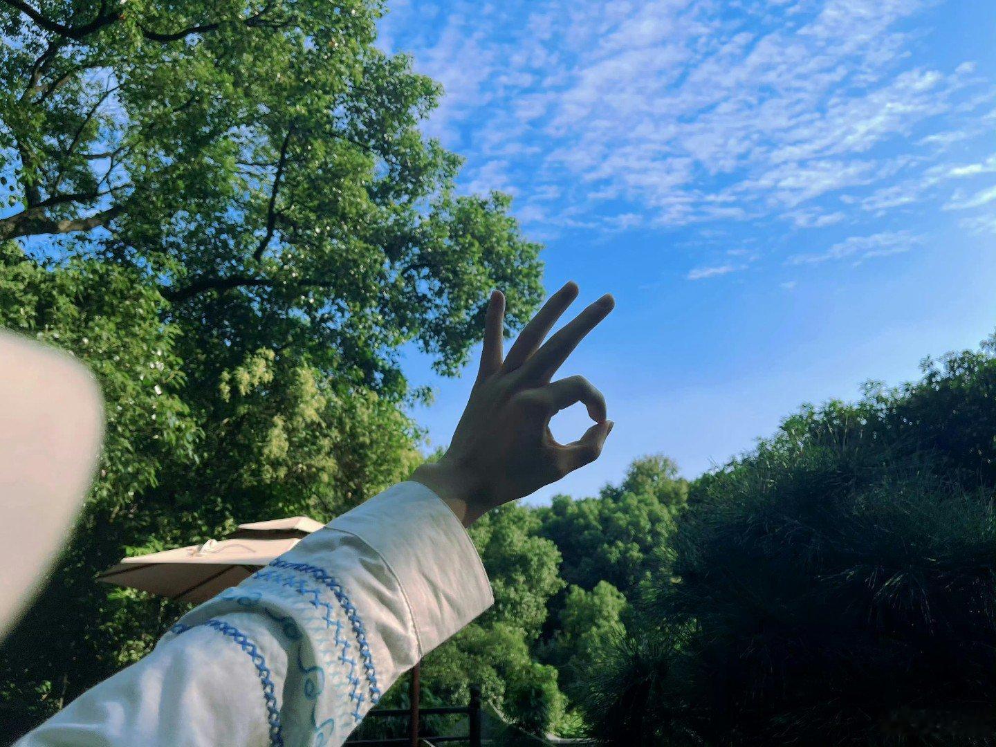 成毅 眼中的风景 那么日常 却又那么美好是我平日不曾留意的美原来是我缺少一双发现