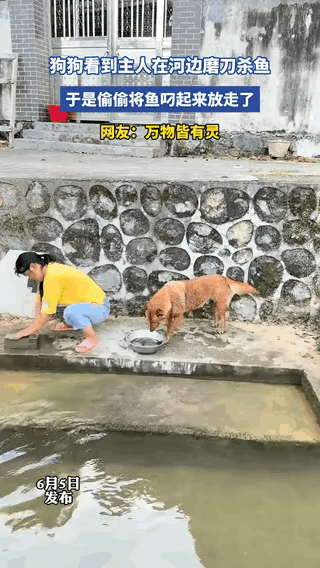 这下属实是有理也说不清！湖南大姐蹲在河边磨刀，一心想着处理刚捞上来的鱼，没想到自