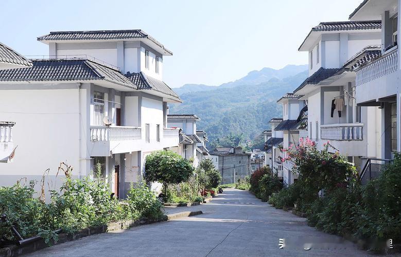 1. 生活方式改变：农民习惯了在农村庭院养鸡养鸭、存放农具、晾晒农作物，上楼后这