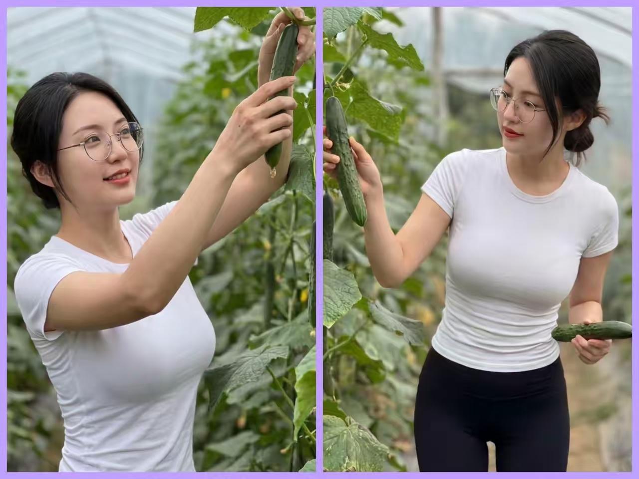 天净沙·耕园悟
佳人不事尘工，
躬耕棚里盈丰。
守拙焉能圆梦？
人生须懂，
用心