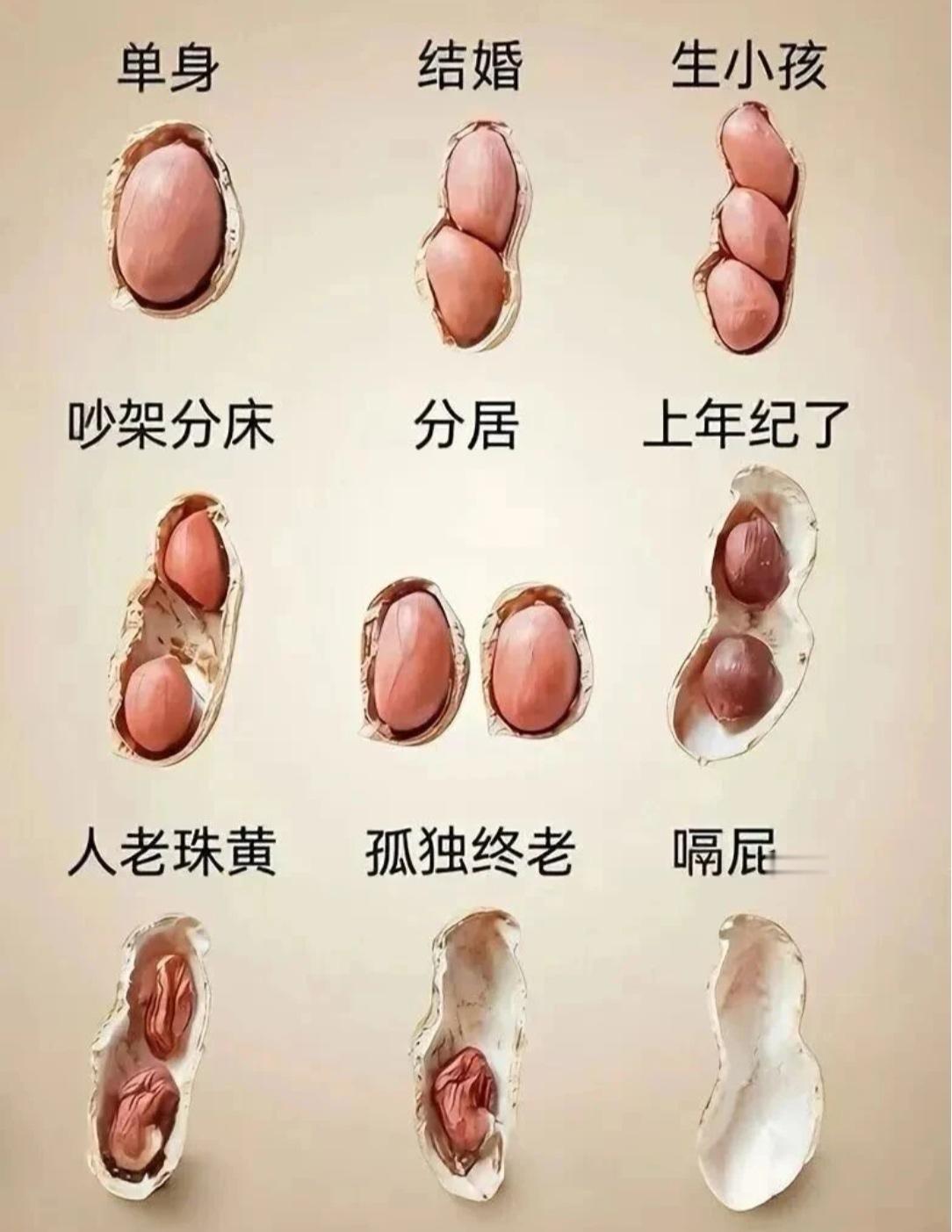 人生就像这花生米，你看明白了吗？