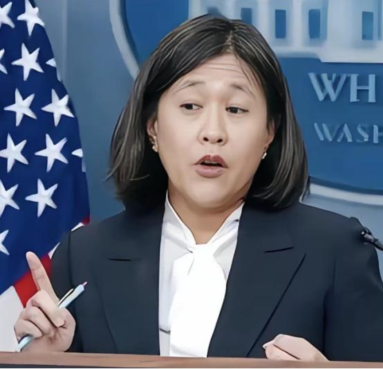 赖岳谦都笑了，当初美国提出收货轮靠港费，是华裔商务代表戴琪提出来的。她的想法是，