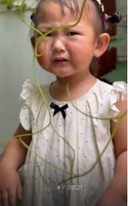 笑不活了，6月18日，河南周口，一小女孩趁紧家长不注意时，偷偷吃奶奶院子里还没成