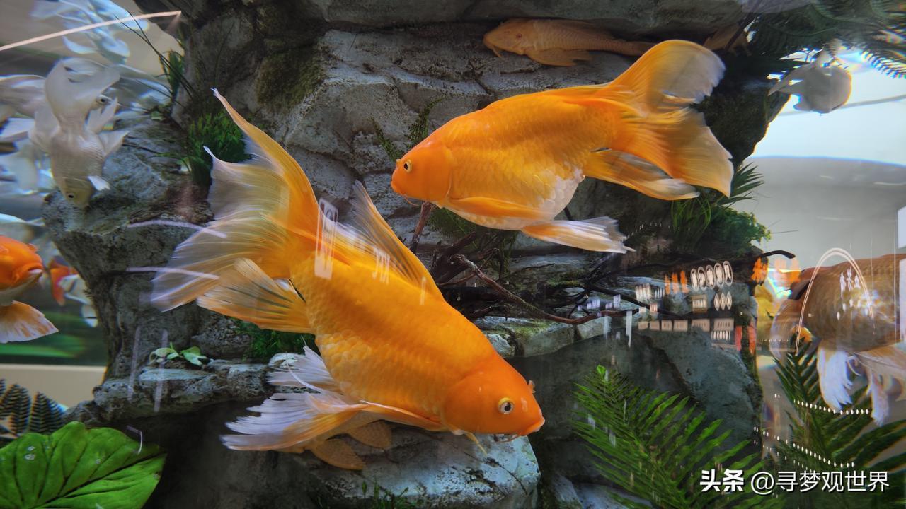 今年春天最想实现的心愿心想事成。