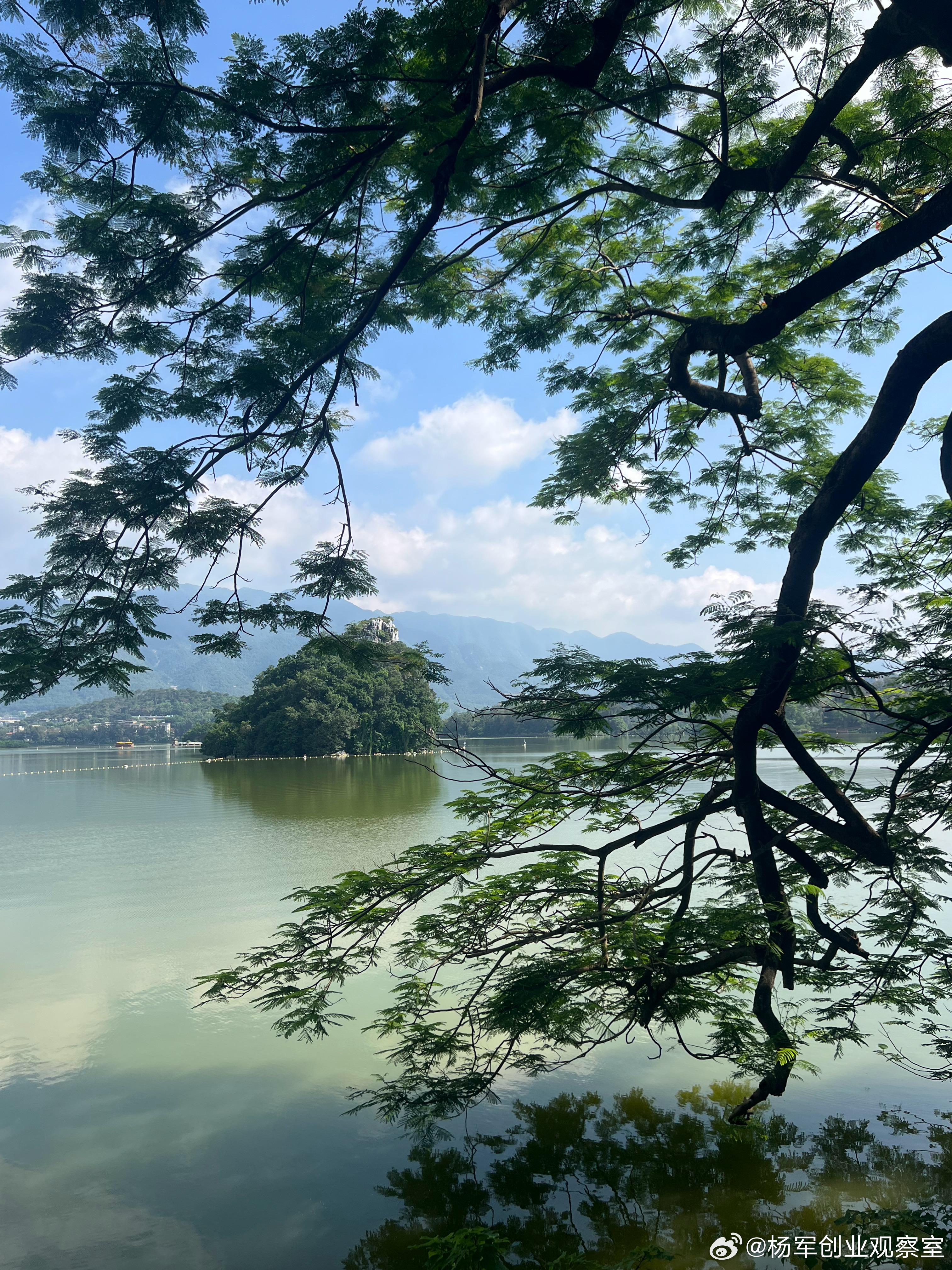 企业冲刺IPO，到底拼的是什么？运气？人脉？其实最核心的竞争力只有两个：“地利”
