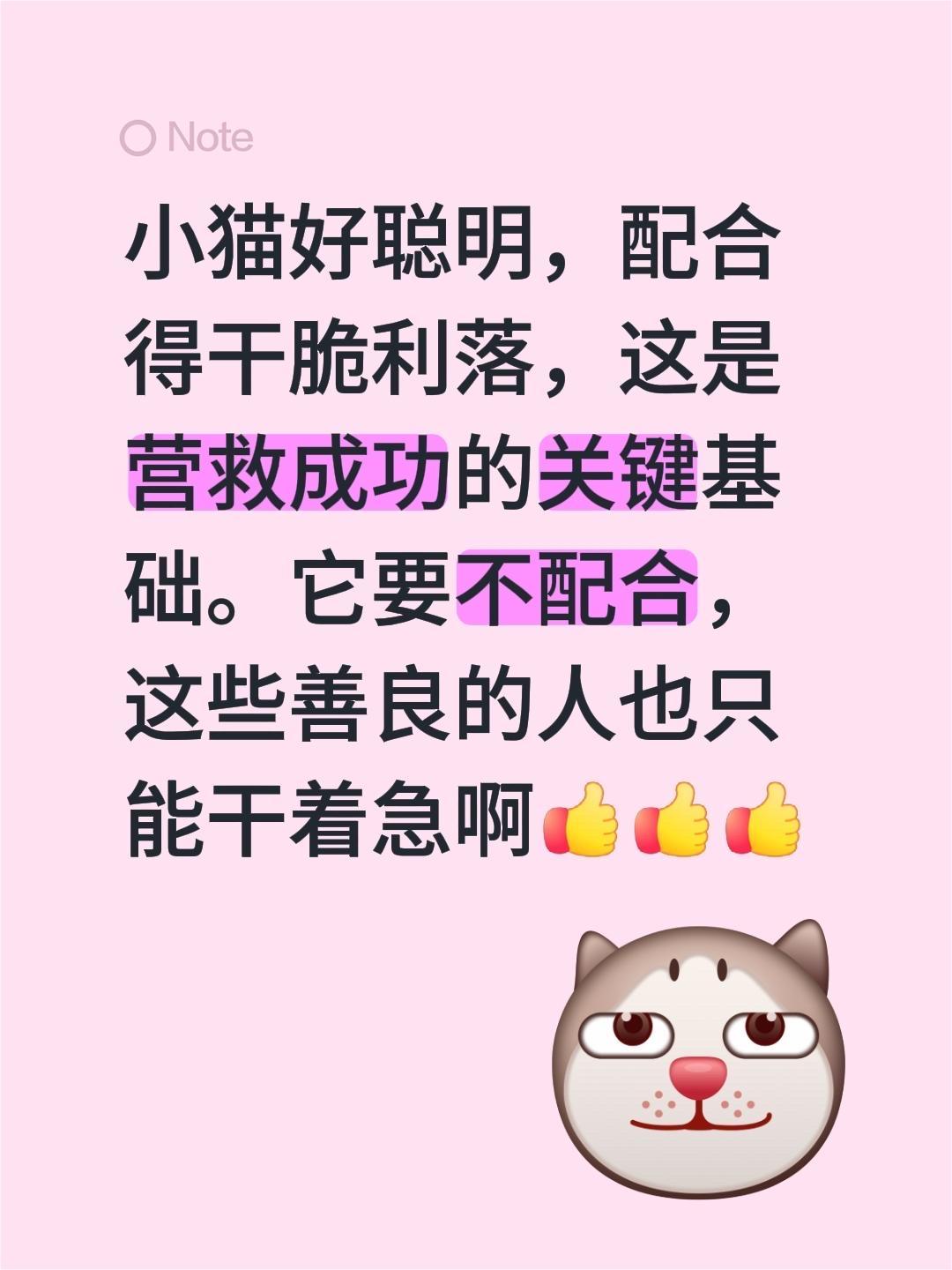我评论了@艳阳 的作品：
小猫好聪明，配合得干脆利落，这是营救成功的关键基础。它