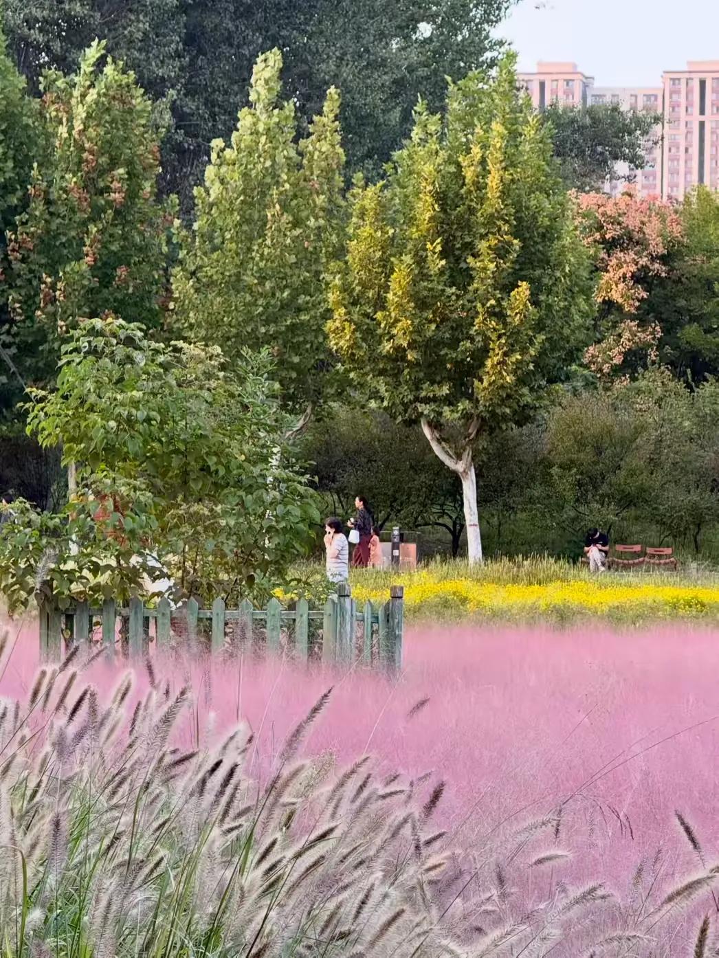 我真受不了我婆婆
我婆婆61岁，丧偶五年了，每月养老金5500块钱，她这人勤快，
