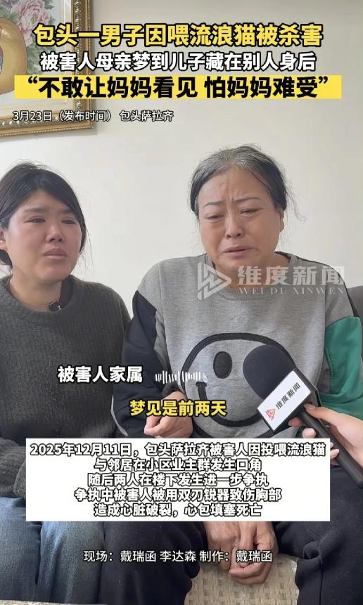 2025年12月11日，包头萨拉齐一男子因喂流浪猫被捅身亡，一句“爸爸没事”竟成