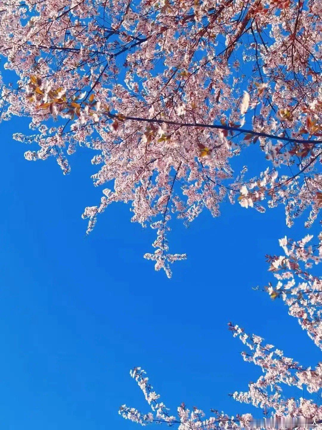 注意，明天一件大事，A股稳了！今天这盘面，真是让人扬眉吐气！隔壁日韩股市被砸得稀