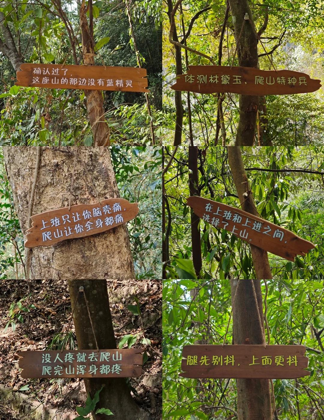 福州南岭古道😂那些搞笑幽默的标语牌🔖
每一个都很好笑
让人在徒步过程中享受片