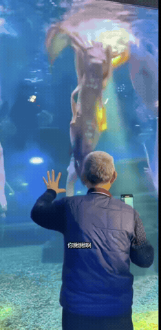 男人不挂墙上都不老实！
一位老爷子在海洋馆观看美人鱼表演，看到美人鱼游过来，大爷