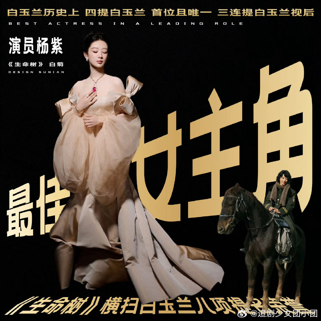 白玉兰是演员杨紫的起点 这个杨紫太萌了杨紫这段获奖感言格局拉满，说奖杯是演员杨紫
