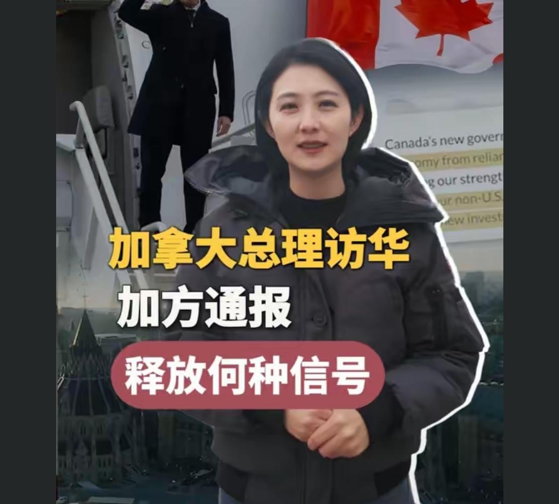 我想问一下，加拿大总理对我们来说算什么东西？莫说一个总理，就是一个总统跟我们谈的