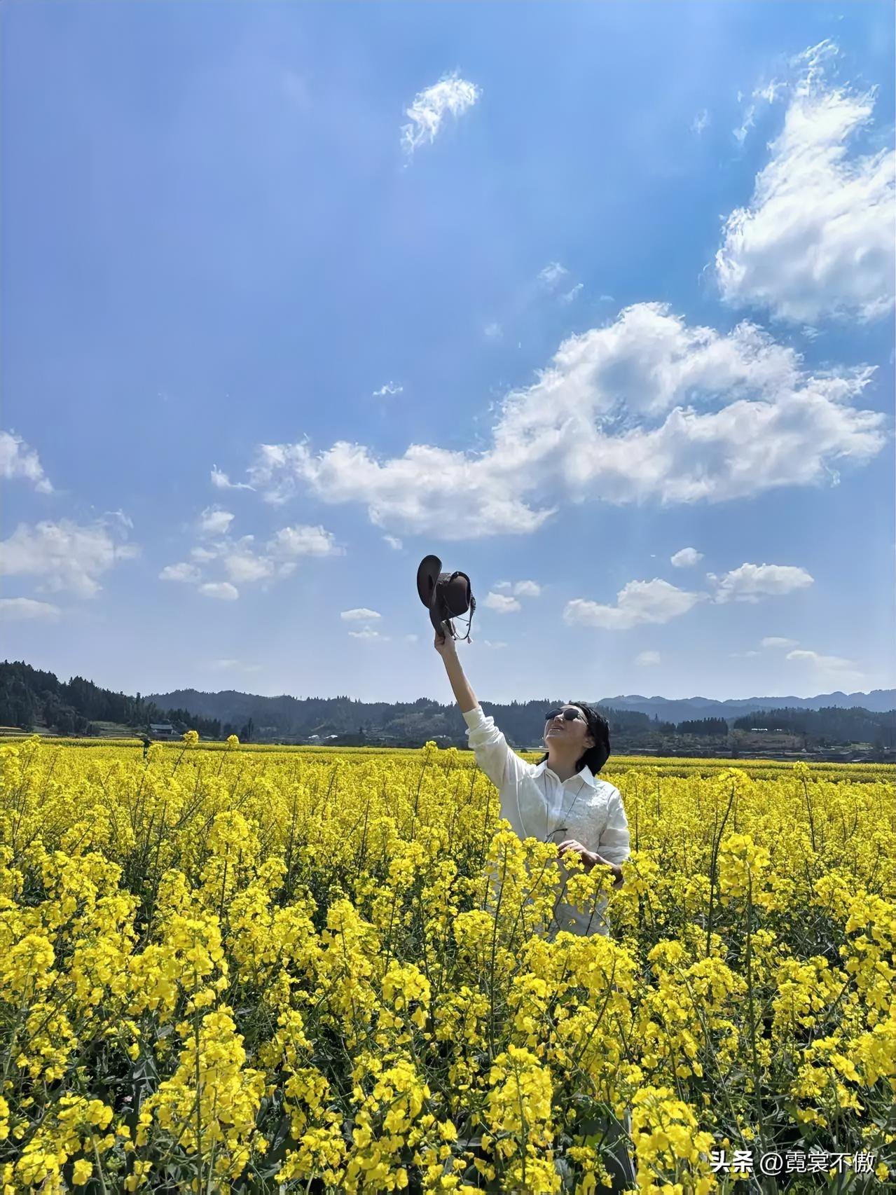 蓝天白云
黄花美女