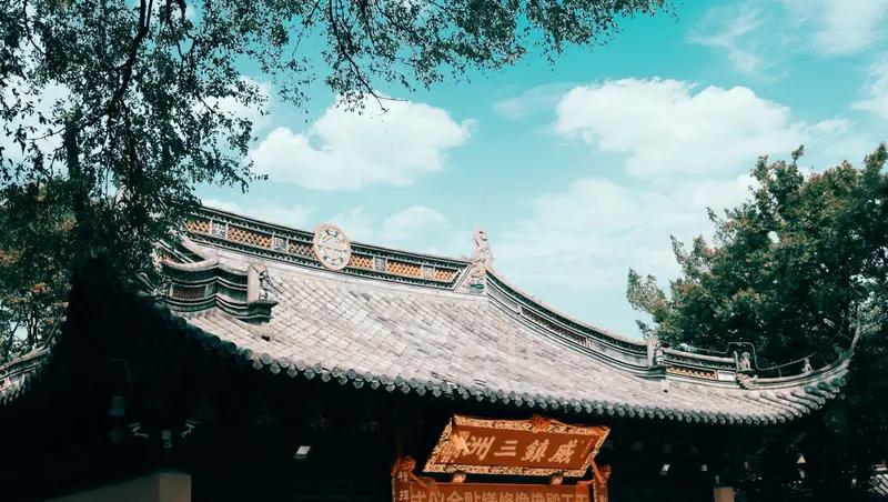 大熊猫高高和其他熊猫有何不同大熊猫高高是自带传奇底色的“特殊存在”。它野生出身却