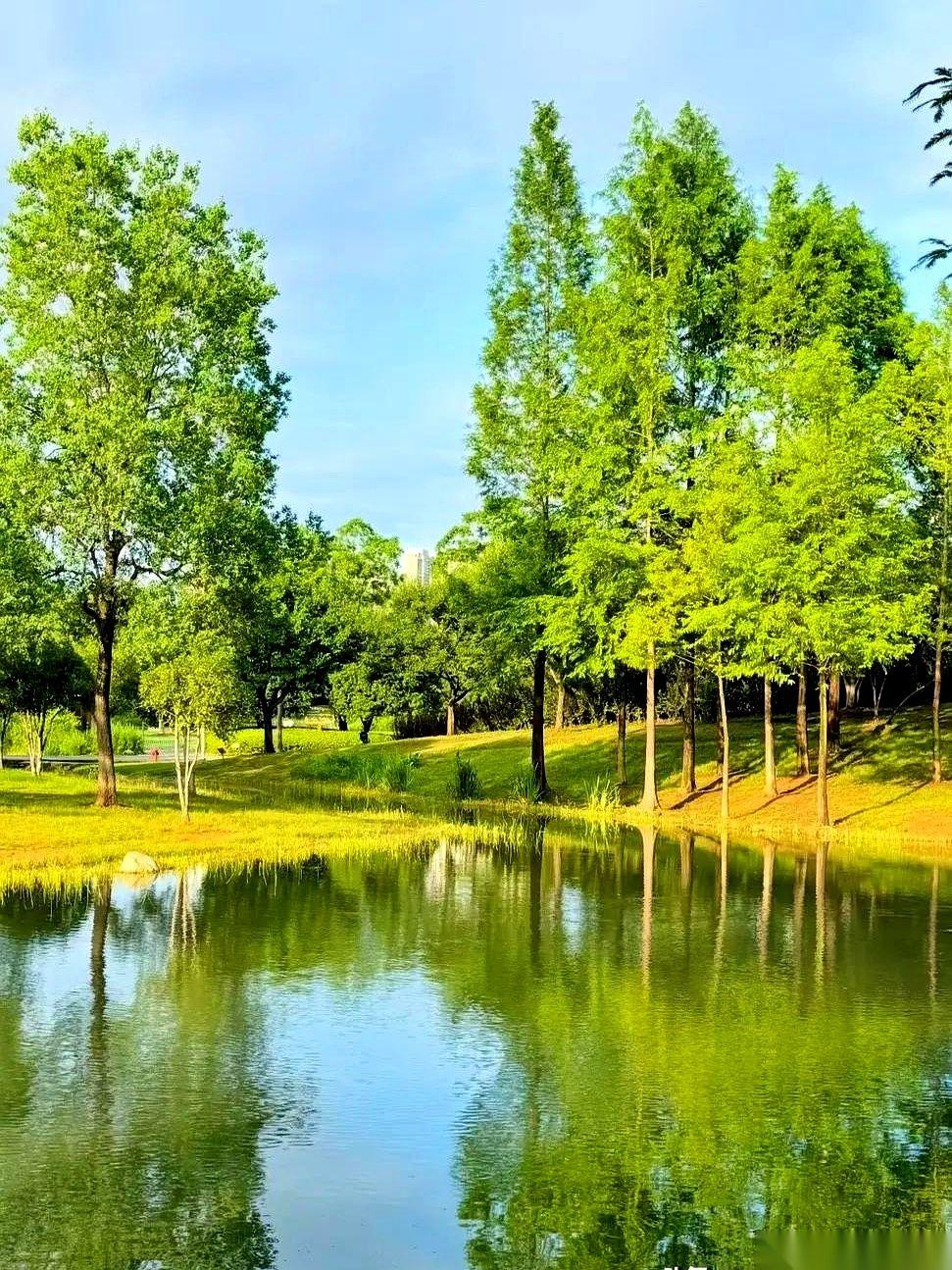 我姐“人间蒸发”了。
不是人丢了，是那个曾经周末必打卡商场、旅游必发九宫格的社交