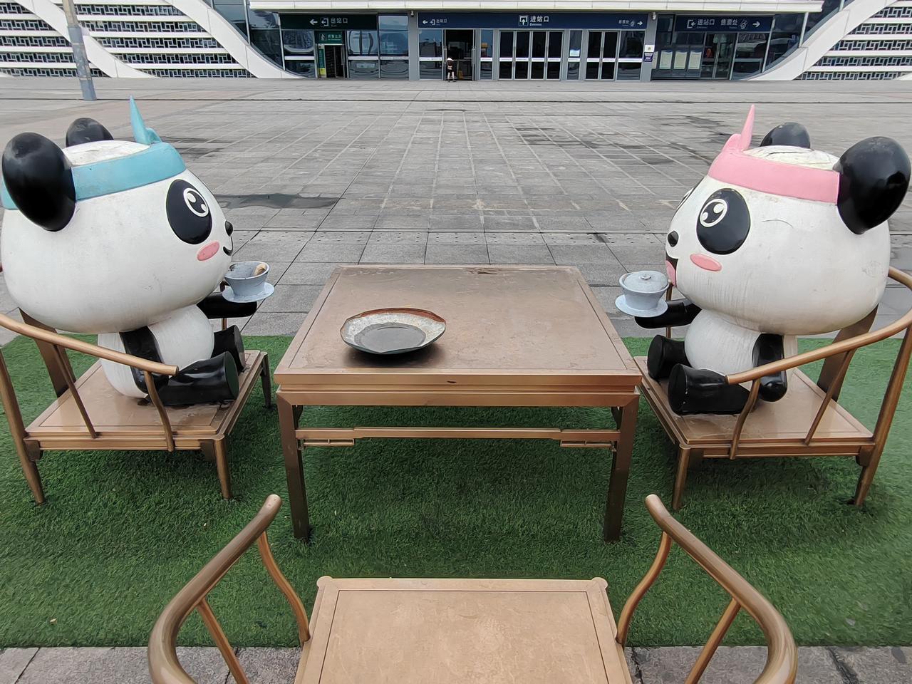 记录我的2026雅安熊猫故乡。