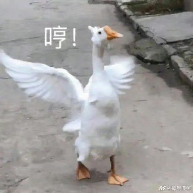 #高途董事长回应董宇辉粉丝刷屏直播间# 希望那些优秀的人都能留下来，太喜欢听他的