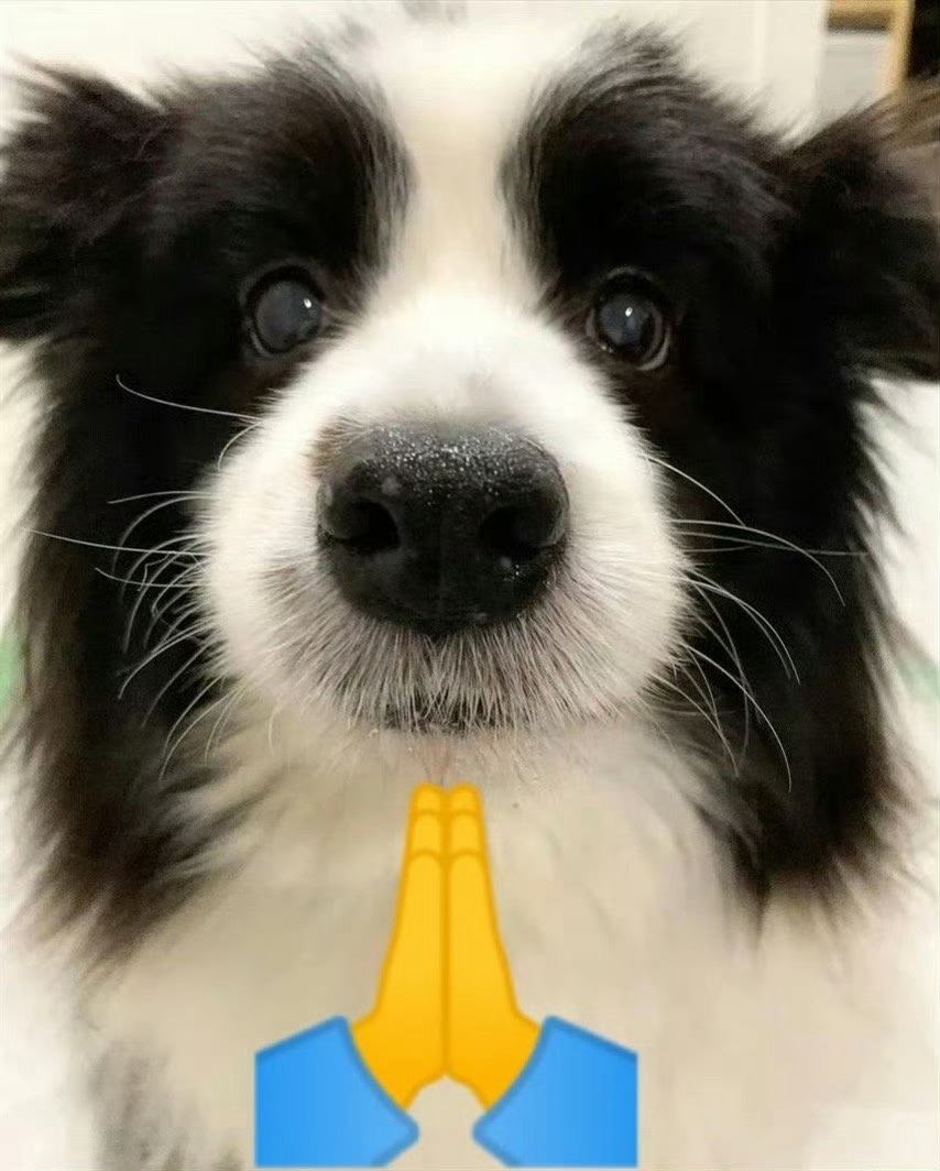 拜托9月对我好一点🙏 ​ ​​​