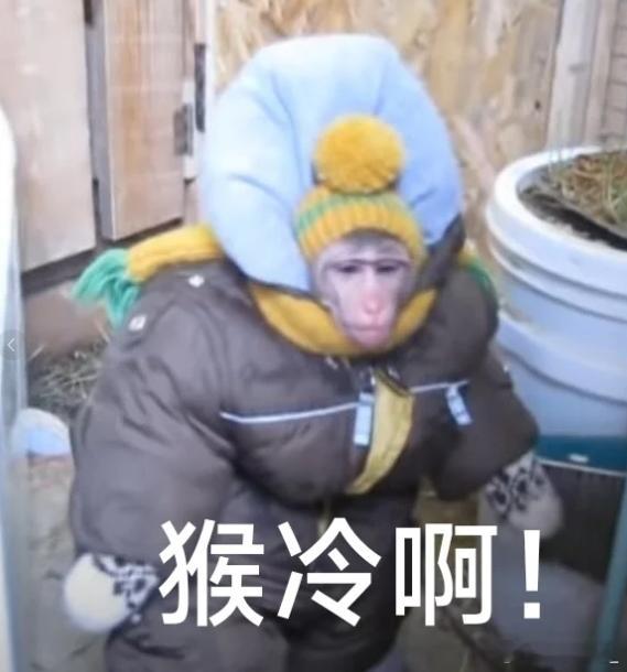 冷冷冷冷冷如何正确保暖 广东你怎么断崖式降温，前天还热我想cos后羿，今天就冷得