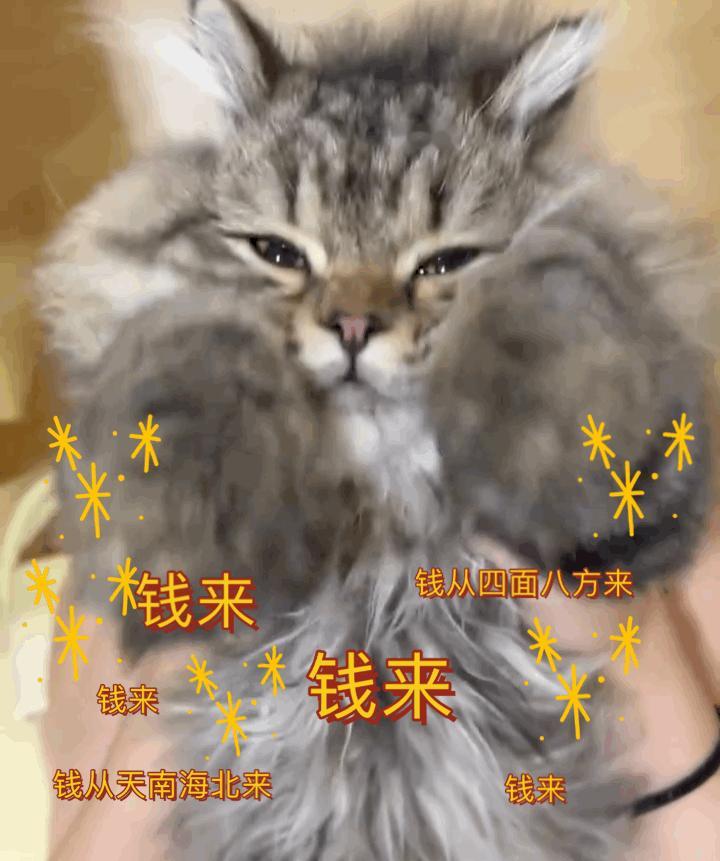 日常的路人a  之前说一群30+的中年人，谈自己年轻时的精神享受。不少人都表示了