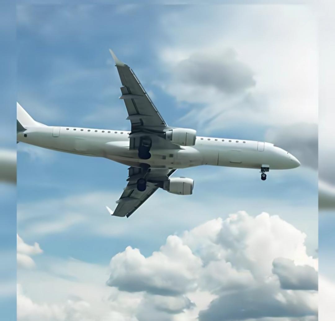 万米高空，本是一场平稳的旅程，却因一名男子的危险举动陷入危机。在成都飞往长春的航