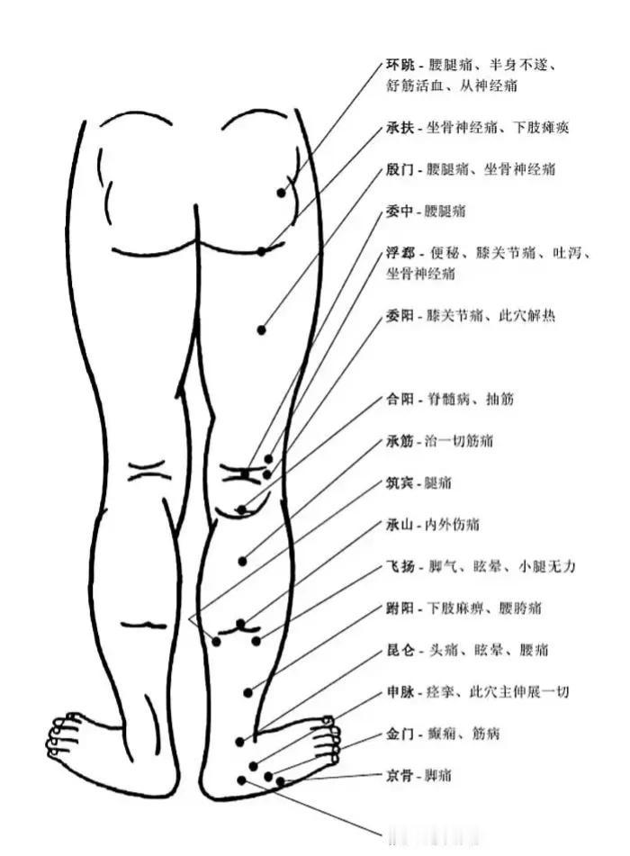 你是否经常感到穴位难以准确找到？今天，我将带你了解经络穴位，分享最全的经络高清动