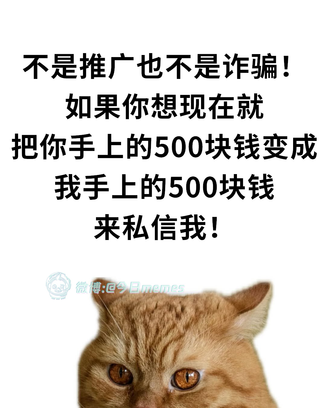 仅限前20（9gag）今日meme[超话] 今日memes ​​​