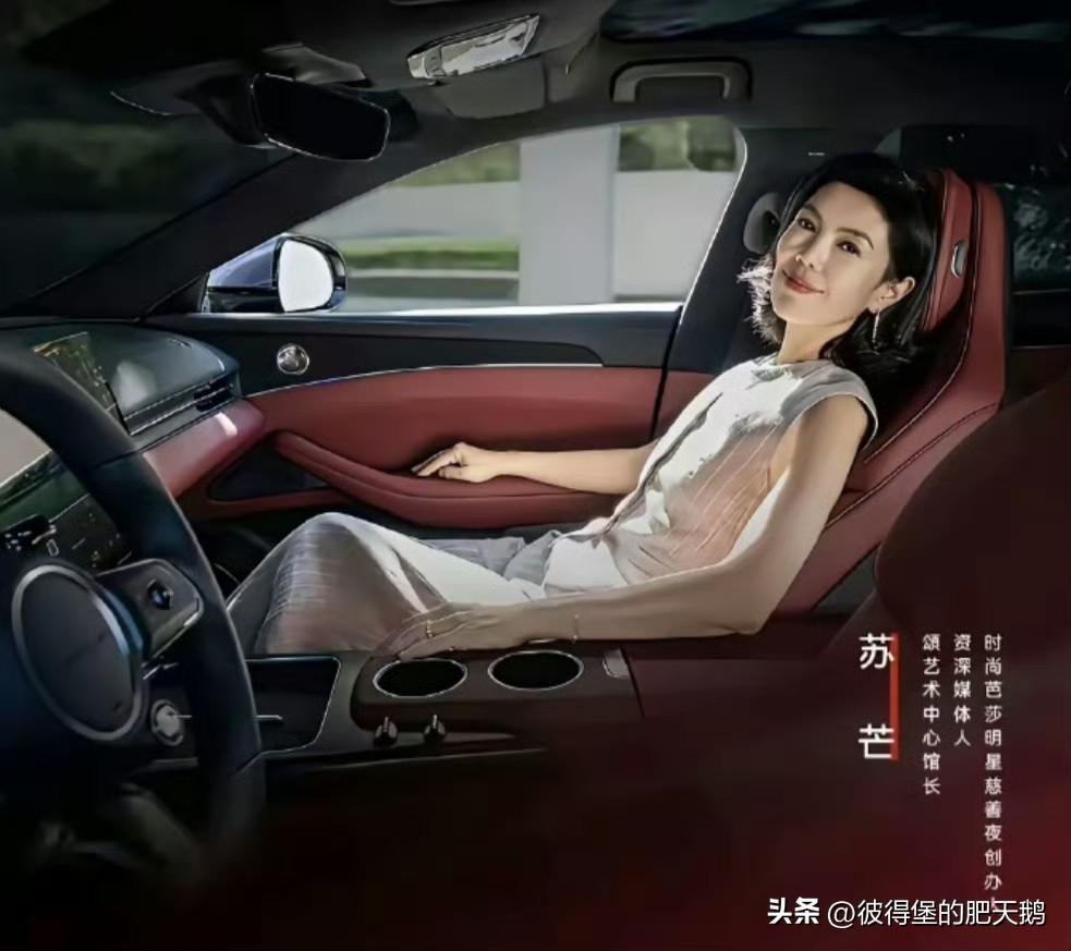 苏芒别在车里坐着啊！法国家里还有一大家子等你这“法兰西第一女仆”做饭呢！ ​​​