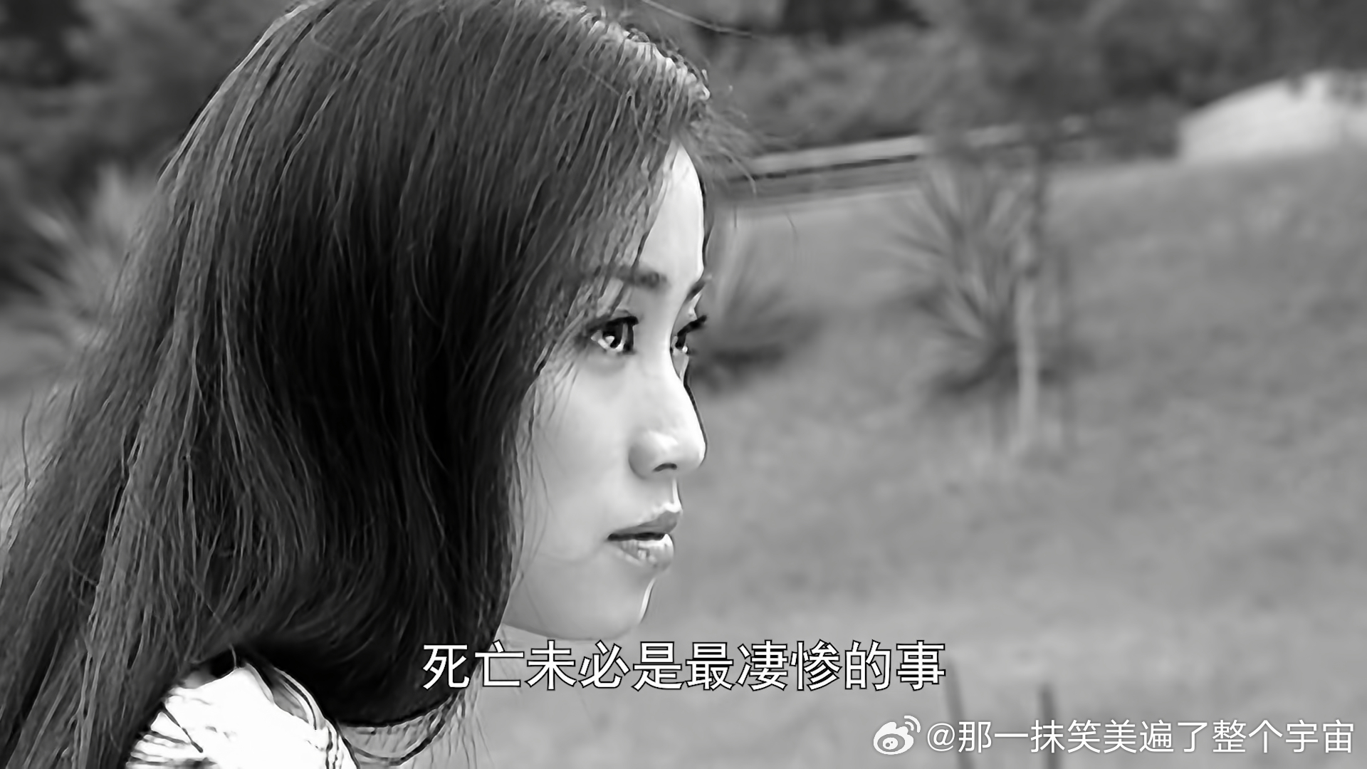 分享图片 