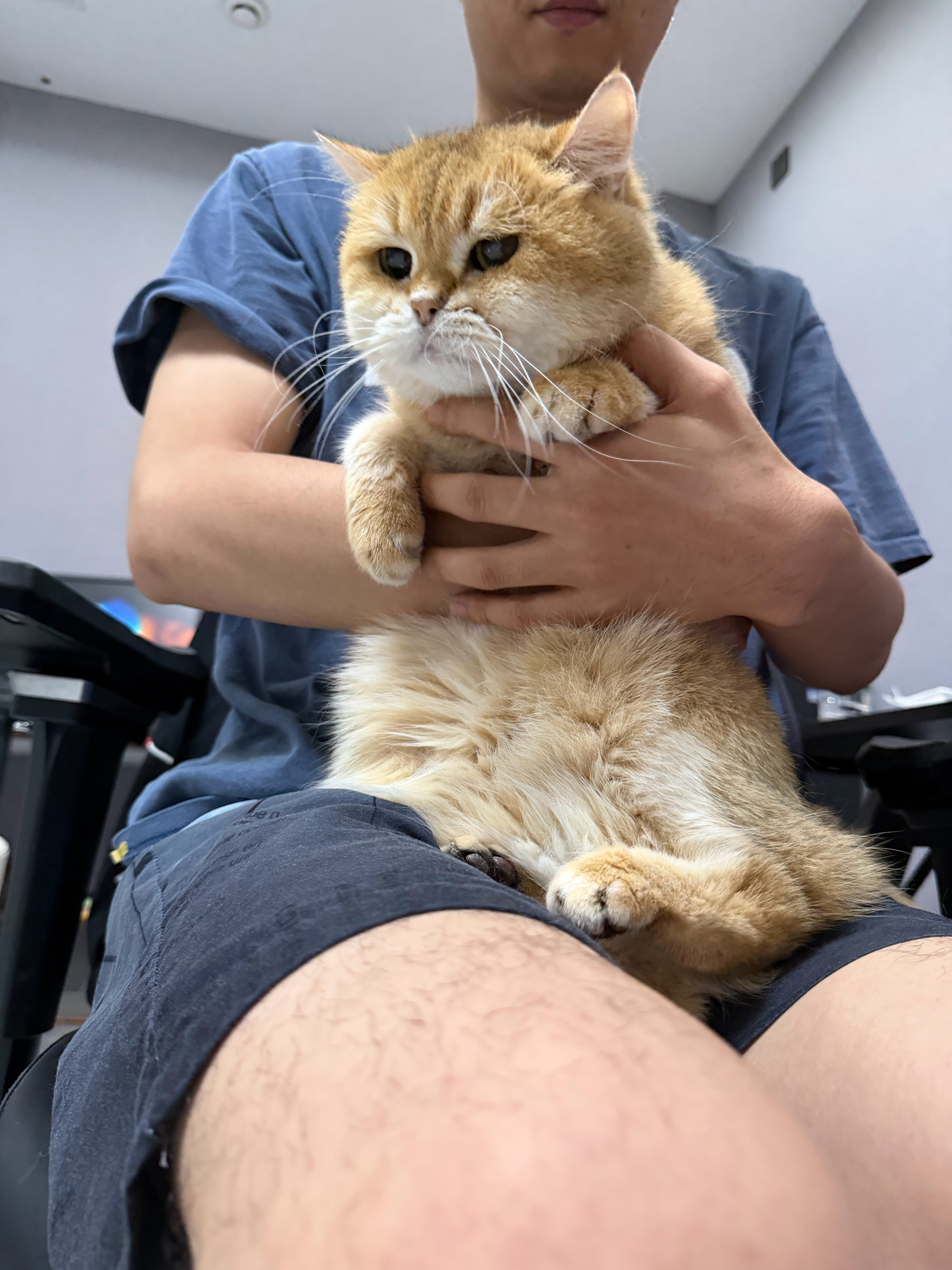 猫宁！我真是猪哇我怎么会分不清1000w和1000kw呢？一定是昨天太晚了精神恍